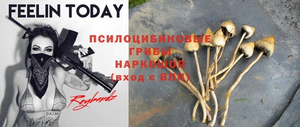 первитин Балахна