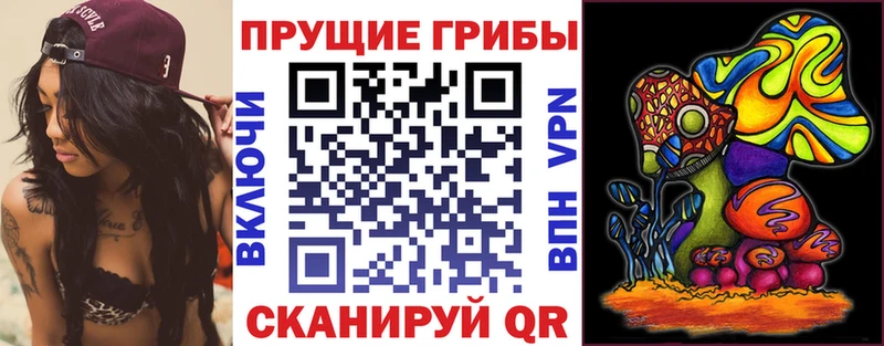 как найти закладки  Белорецк  Псилоцибиновые грибы мухоморы 