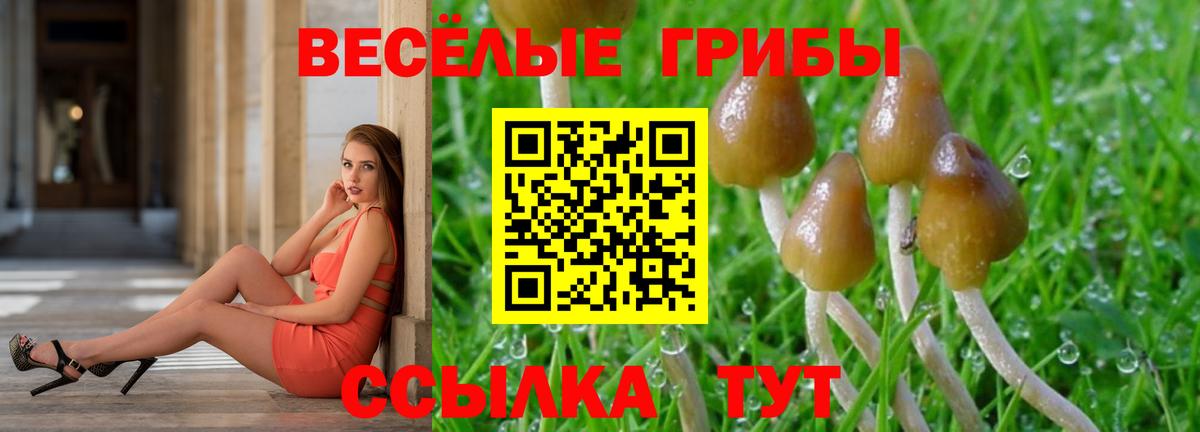 Белорецк  Галлюциногенные грибы Psilocybe  Вход с VPN 