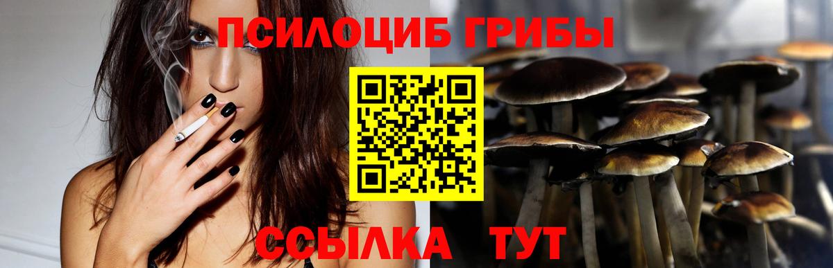 Псилоцибиновые грибы мицелий  купить   Белорецк 