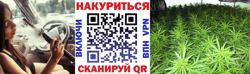 Канабис сатива Белорецк